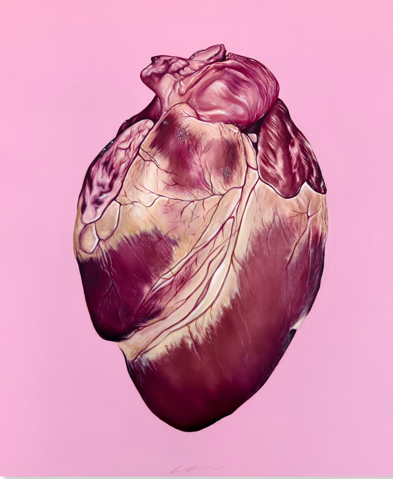 An anatomical human heart painted in deep crimson and violet against a flat pink ground.